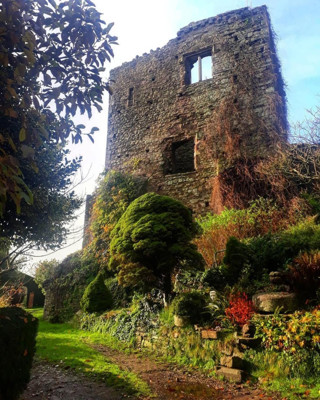 Poplars Cottage Usk Exterior photo